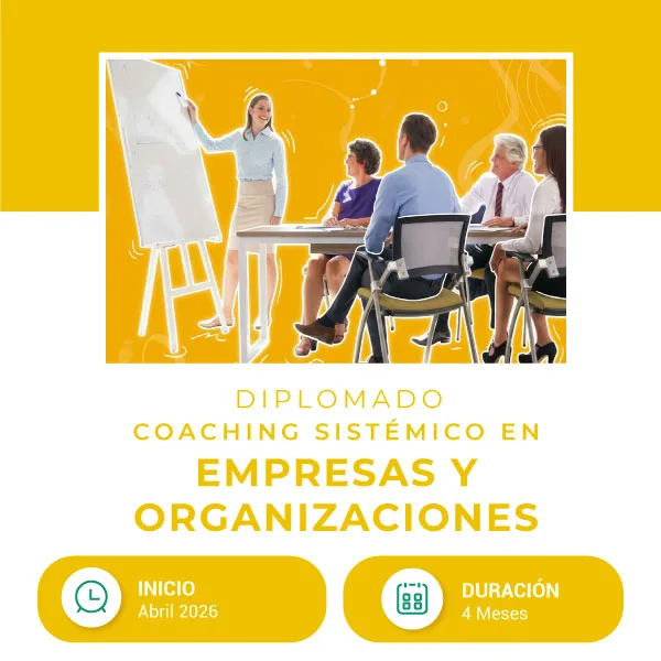 Interna-web_1